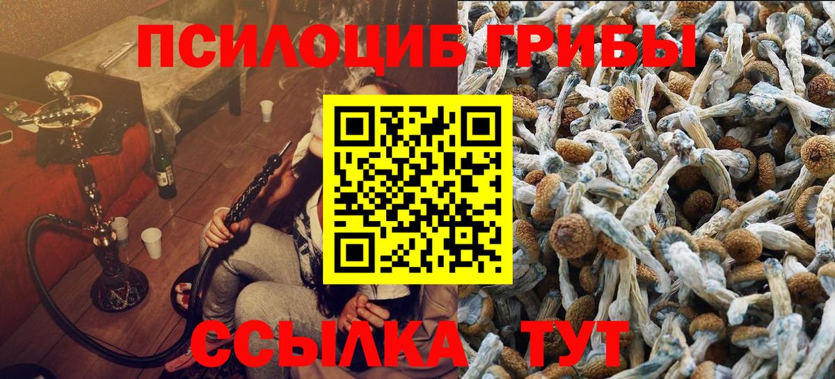 Псилоцибиновые грибы Psilocybe  Вход с VPN  Заволжье  Псилоцибиновые грибы Magic Shrooms 