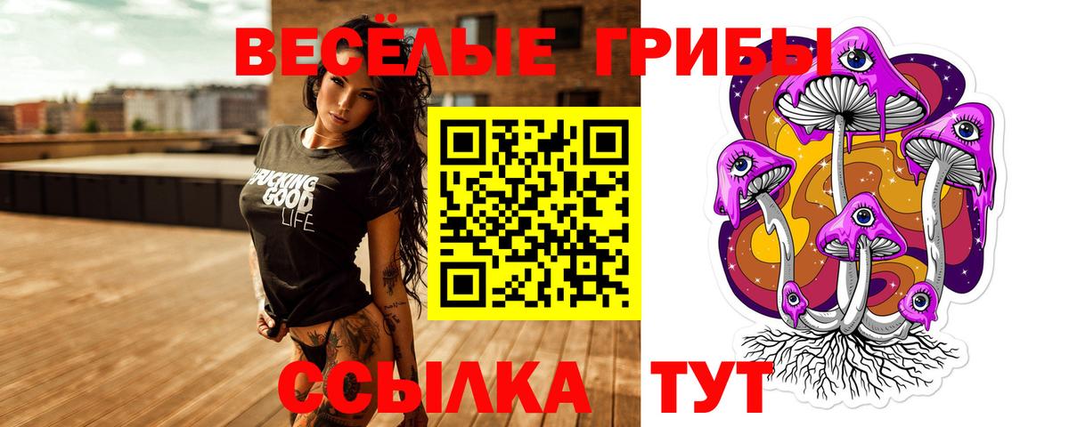 Галлюциногенные грибы прущие грибы Заволжье